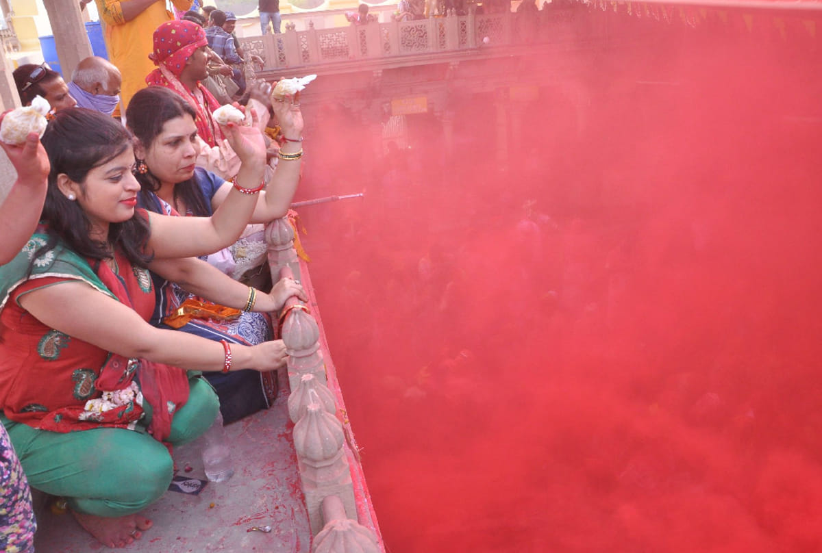 Holly's traditional preparations, showing the impact on the market
