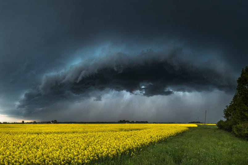 Awards winner photos of The 2016 Sony World Photography Awards