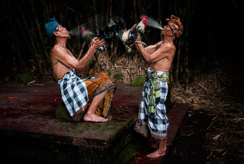 Awards winner photos of The 2016 Sony World Photography Awards