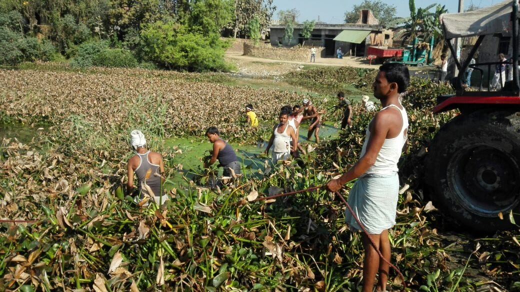 The Prime Minister made pond cleaning