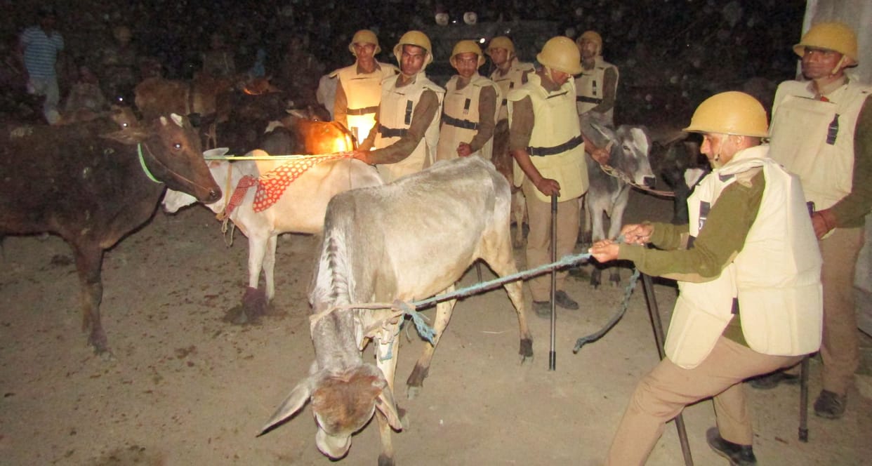 Sikandpur four hours driving campaign 
