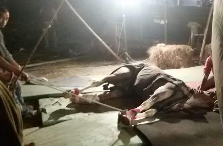neither drugs nor pray did work for shaktimaan.