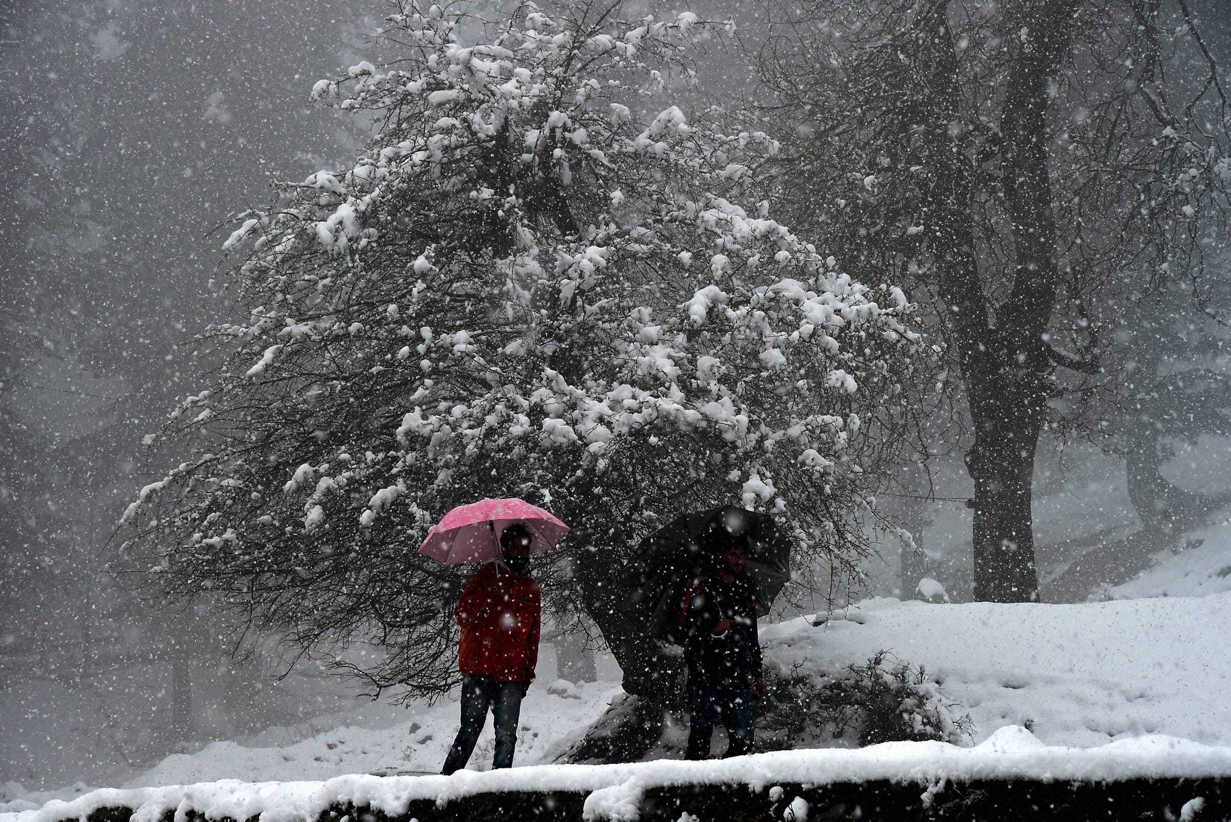 fresh snowfall in kashmir