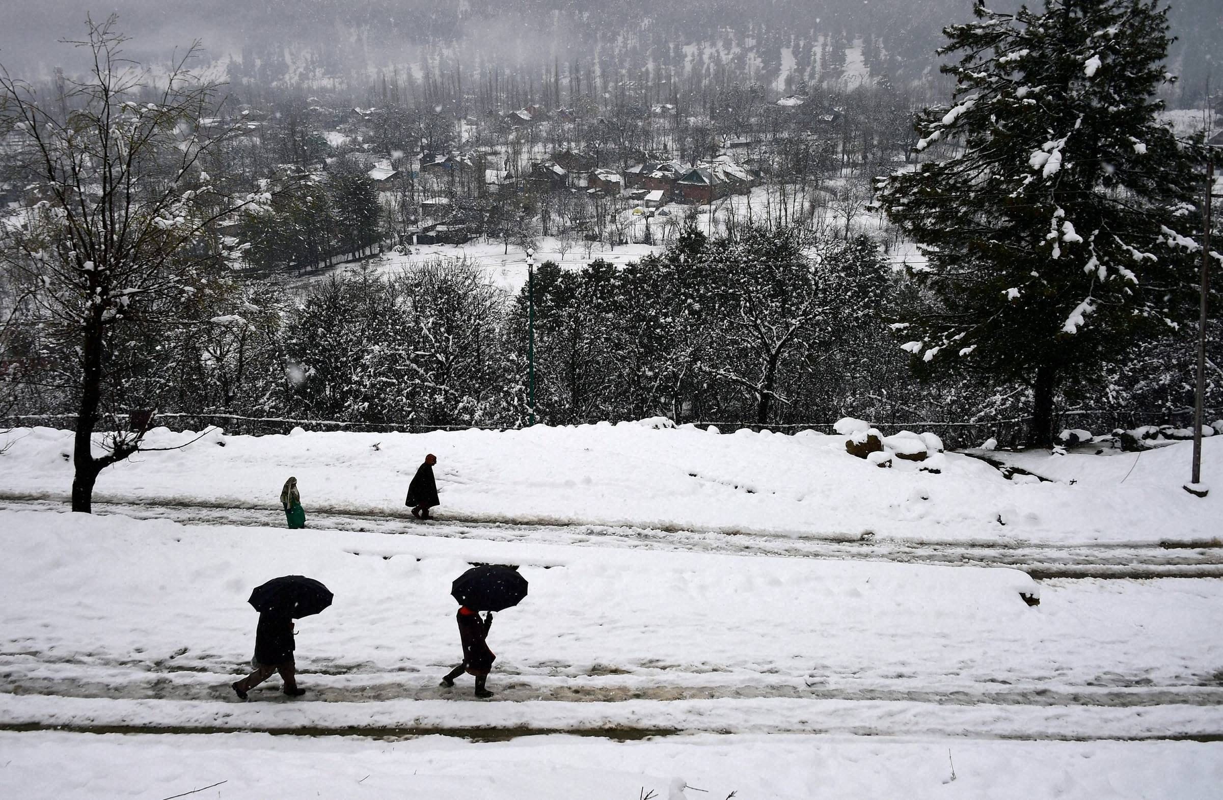 fresh snowfall in kashmir