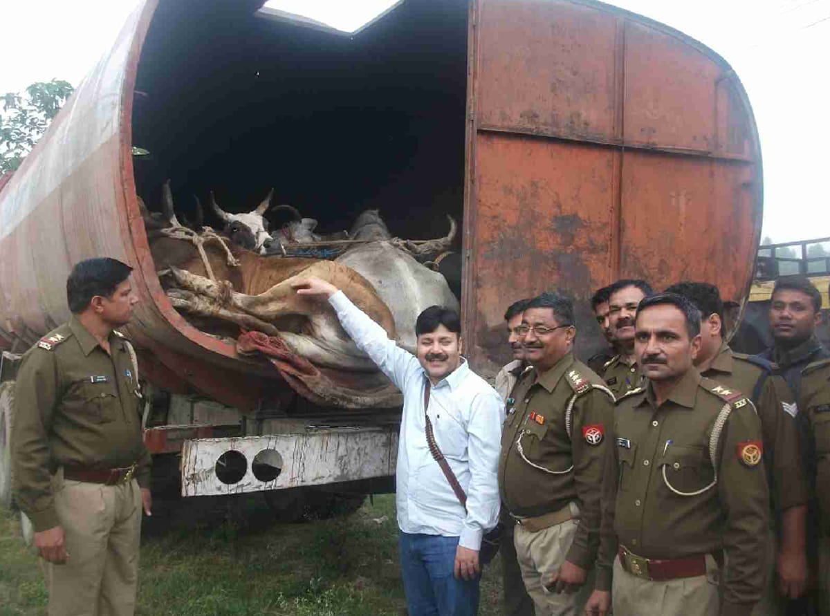 17 ways of animal smuggling