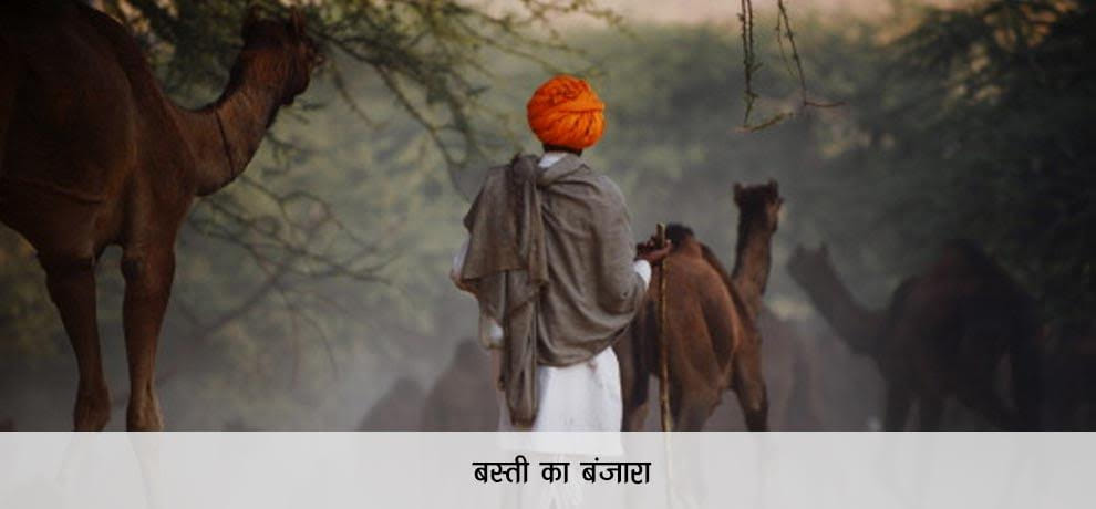 who will win election of uttar pradesh in 2017?