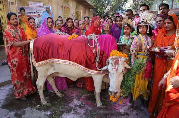 one man suicide for cow's status to rashtramata