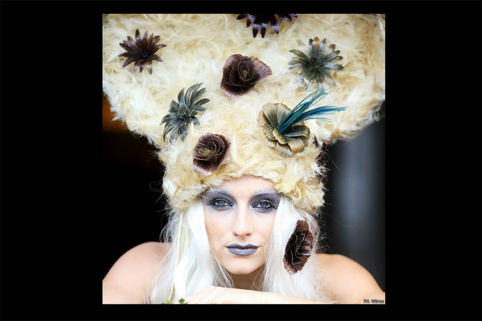 rish hairdressing championships
