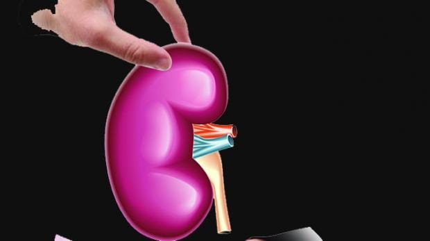 kidney scam, kidney donation scam, criime news, rewari news, haryana news