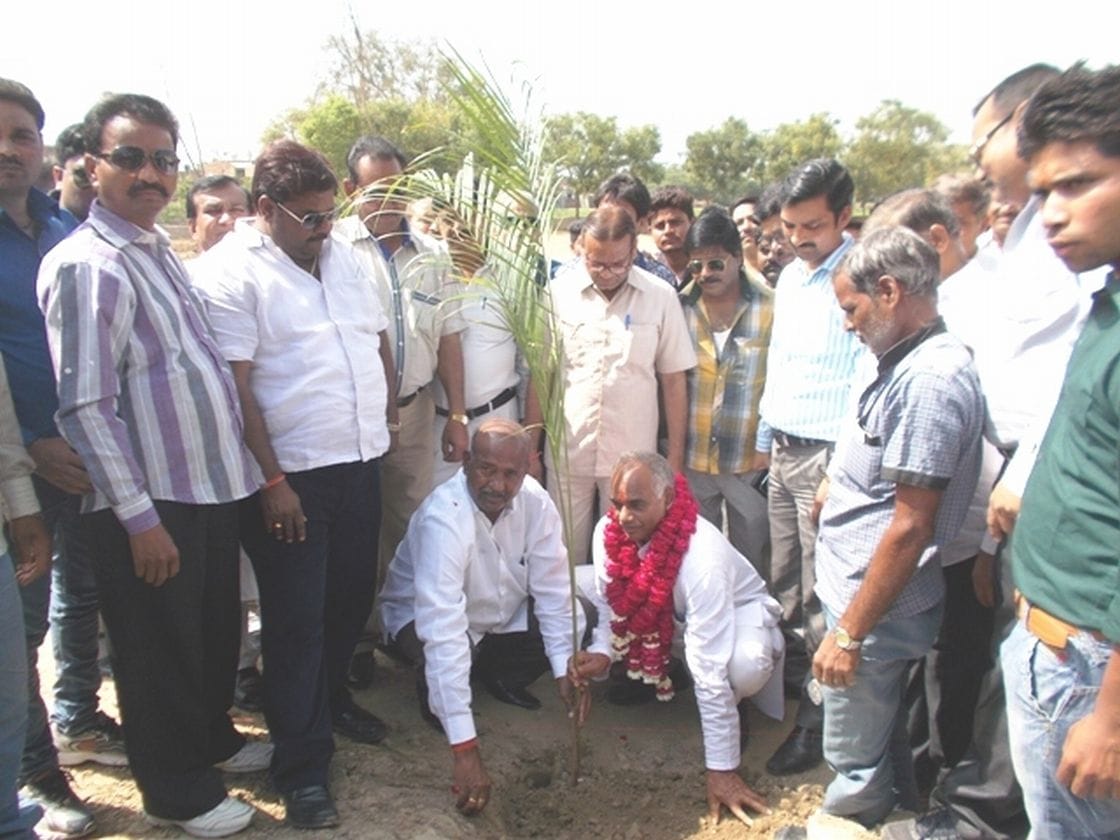 Plantation required to ecology