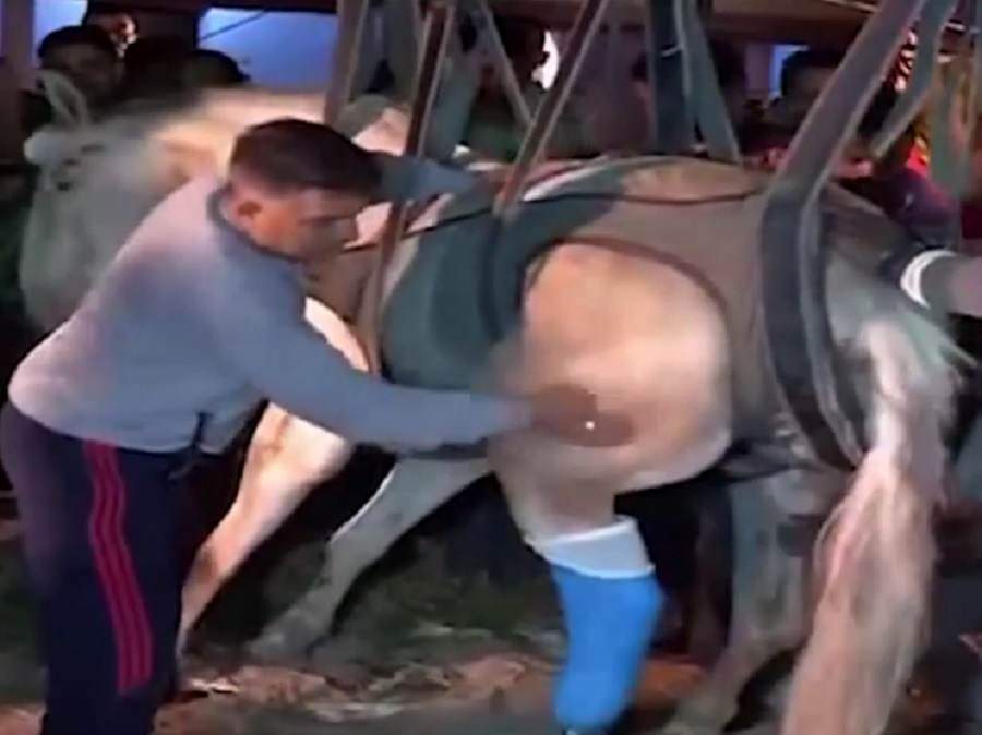 शक्तिमान