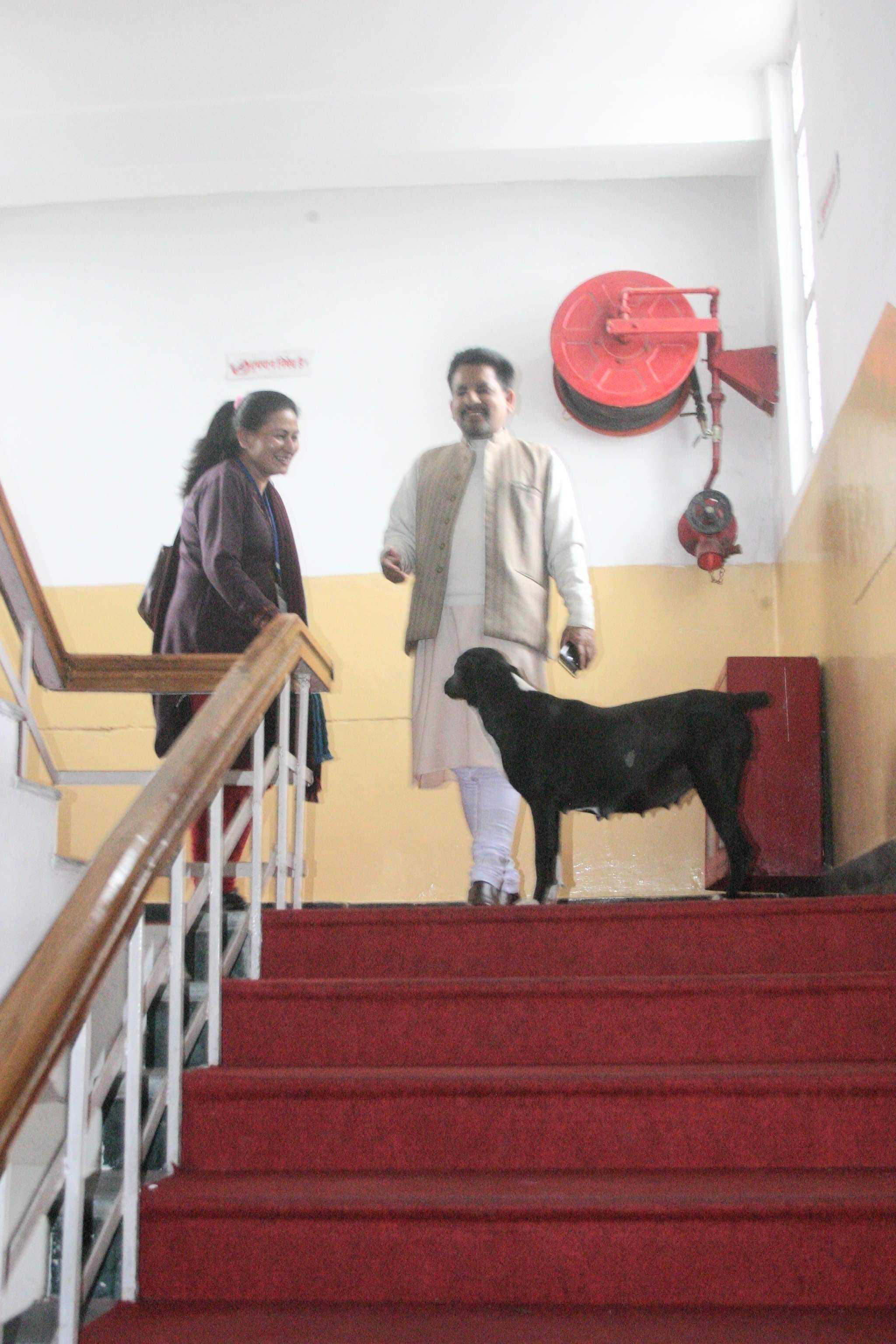 street dog enters in uttarakhand assembly