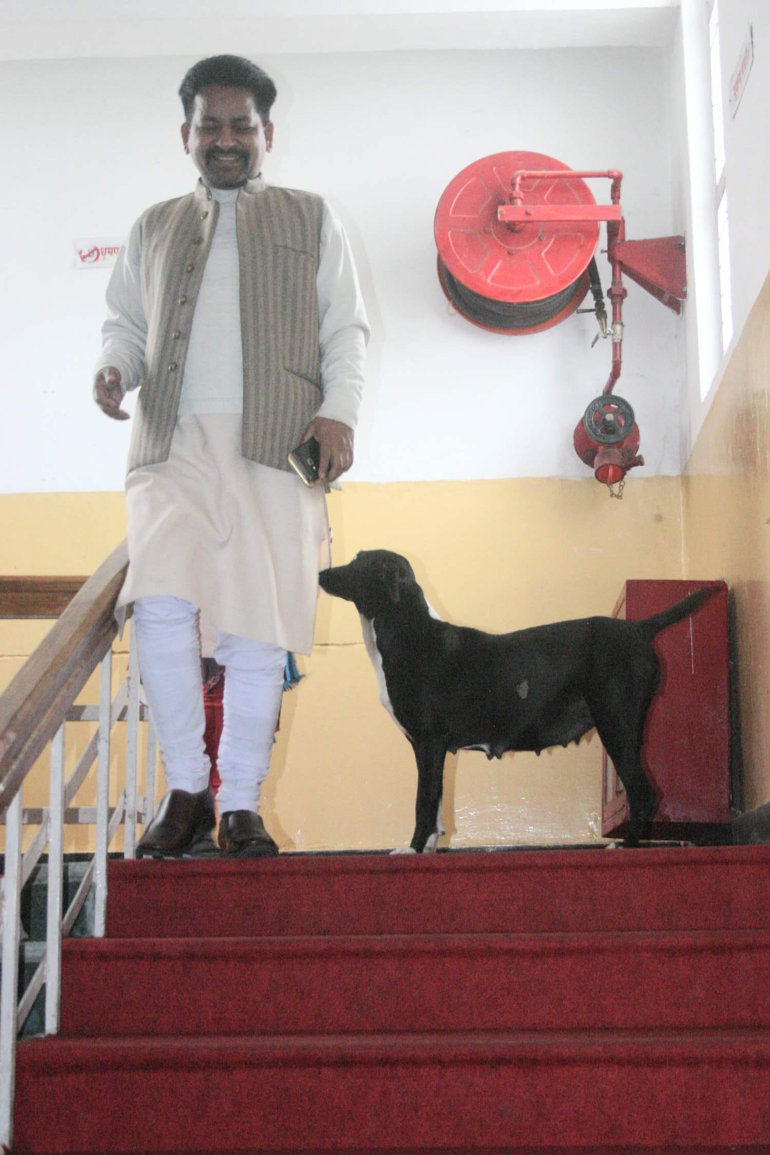 street dog enters in uttarakhand assembly