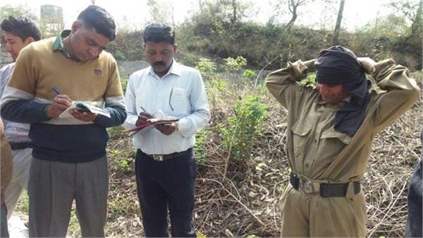 suspected lady in pathankot, pathankot terror attack, pathankot news, suspected lady, punjab