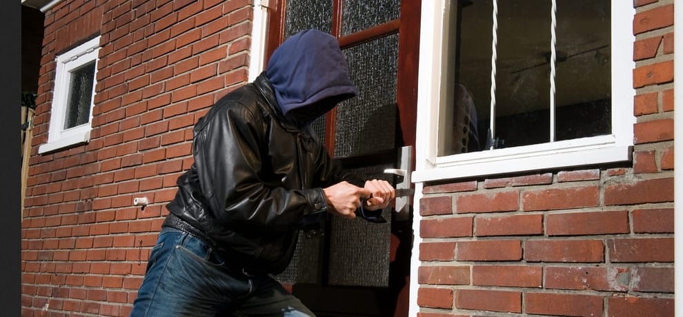 Lawyer's car theft
