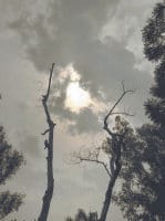 weather, rain, karnal