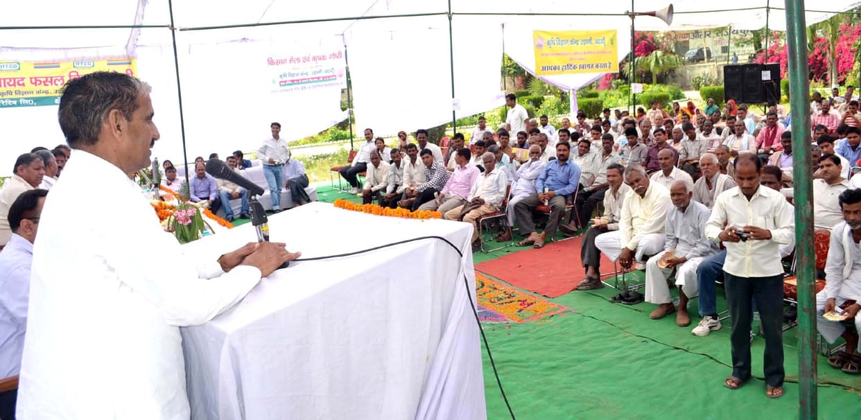 Farmers consider new techniques of cultivation