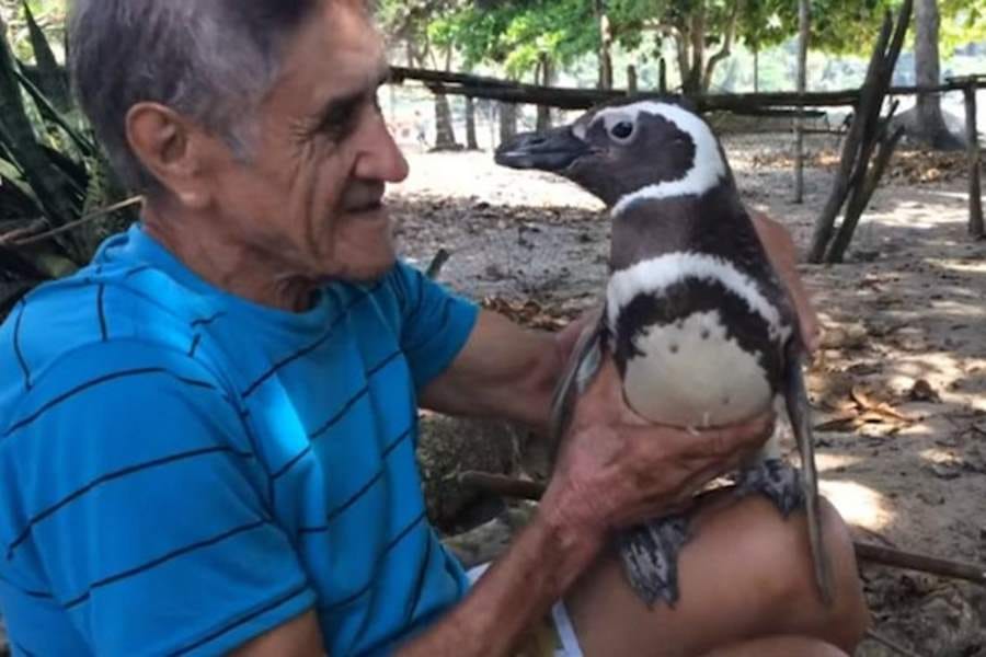 bond of people with animals, best stories