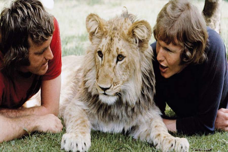 bond of people with animals, best stories