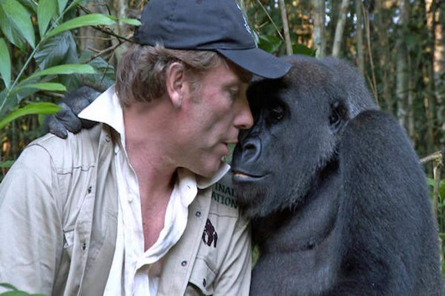 bond of people with animals, best stories