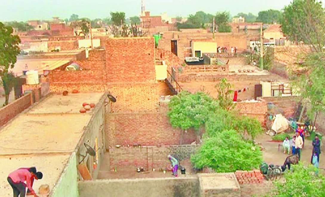 committee will decide about regular of outside home of lal dora
