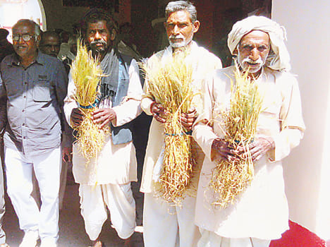 Officers arrived in front of the dry crop farmers