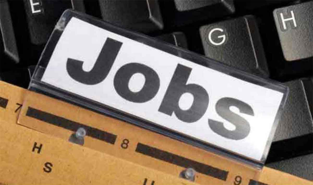 500 vacancies in bank for graduates