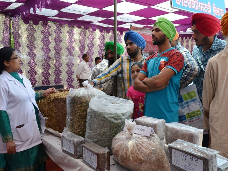 mela, pashupalan mela in ludhiana, agriculture tips for farmers