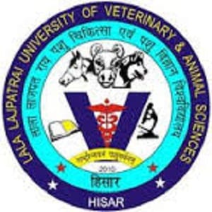 hindi story, Job in Dairy college, 21 post interview, Hisar