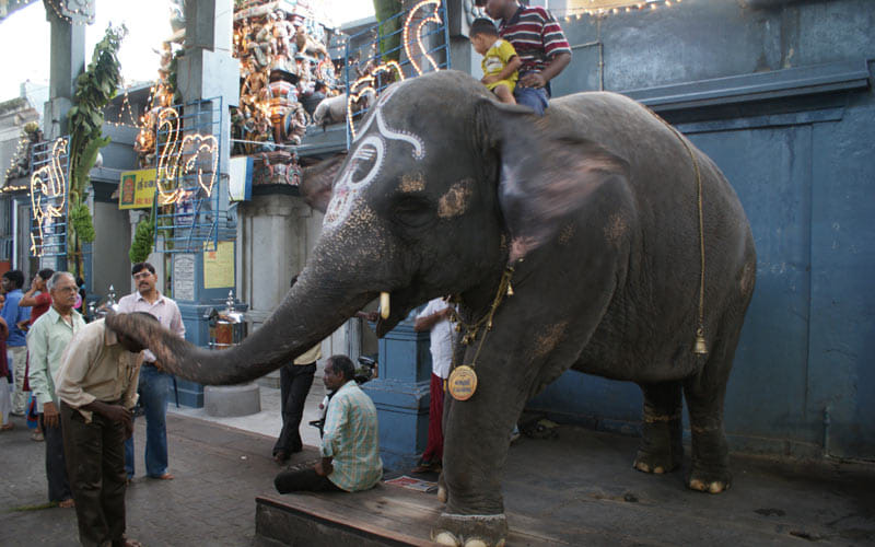 cheapest tourist places of india where you can roam easley