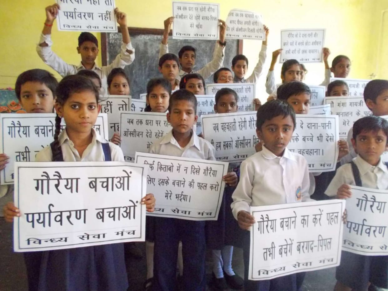 Sparrow made Vindhyachal example of conservation On the eve of World Sparrow Day