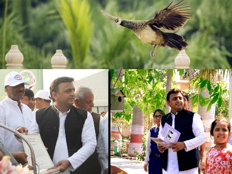 cm akhilesh got home from limca book of world record