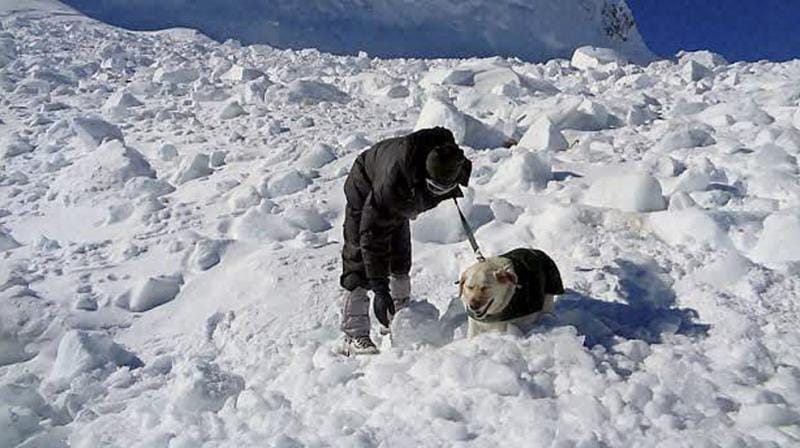 kargil avalanche: Mortal remains of Sepoy Vijay Kumar recovered