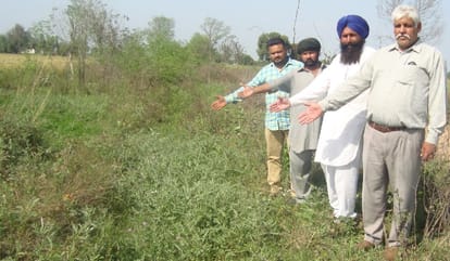 BJP MP questions Ministers for lacking in work