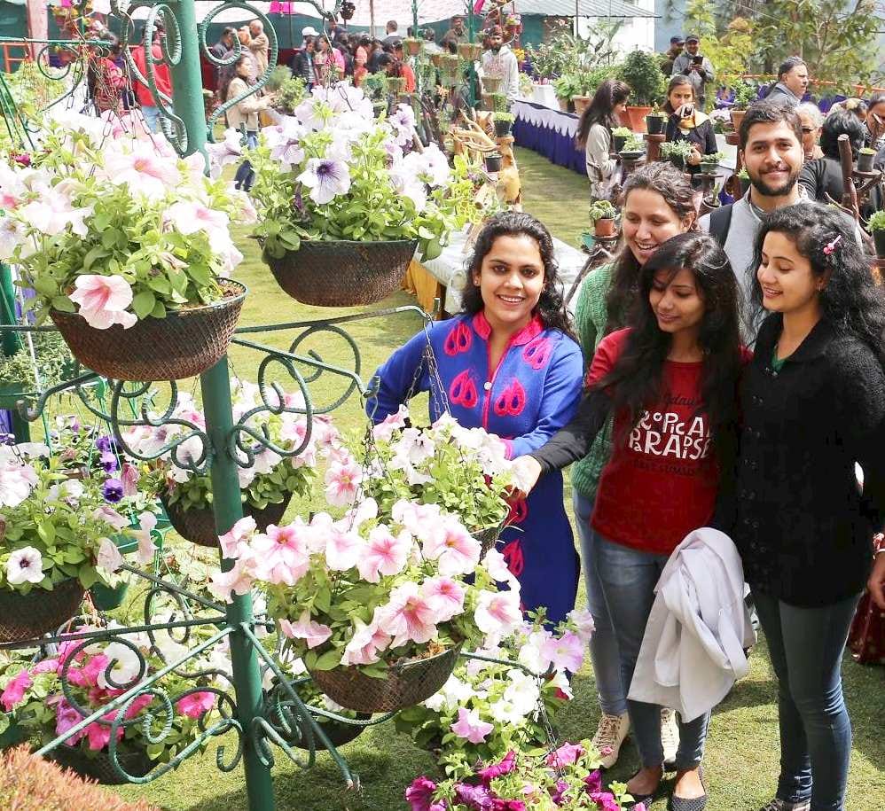 flower exhibition 