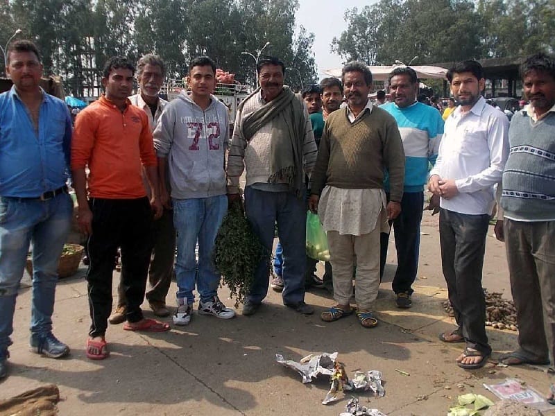 animal problem, animal problem in vegetable market, animal problem in pathankot, amritsar