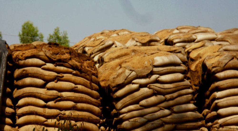 ration rotting in government Stores