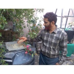 hindi story, civic issue, Mohammad Naim, save bird, yamunanagar
