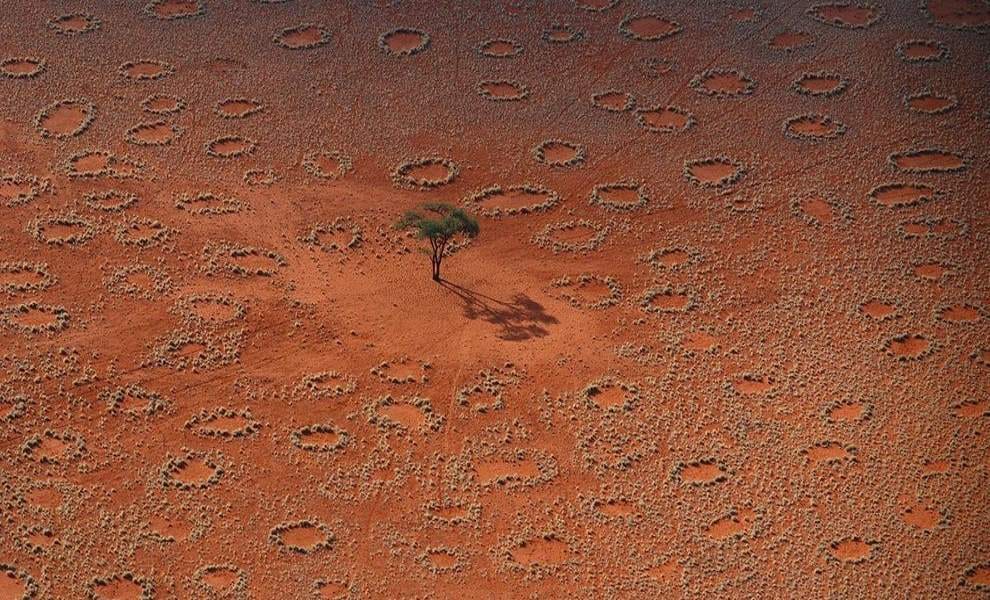 weirdest natural phenomena 