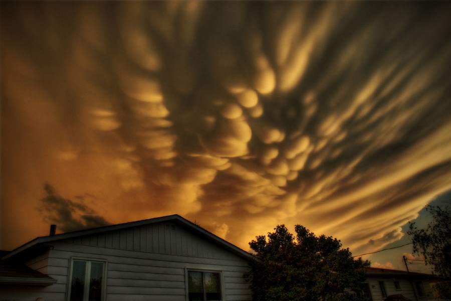 weirdest natural phenomena 