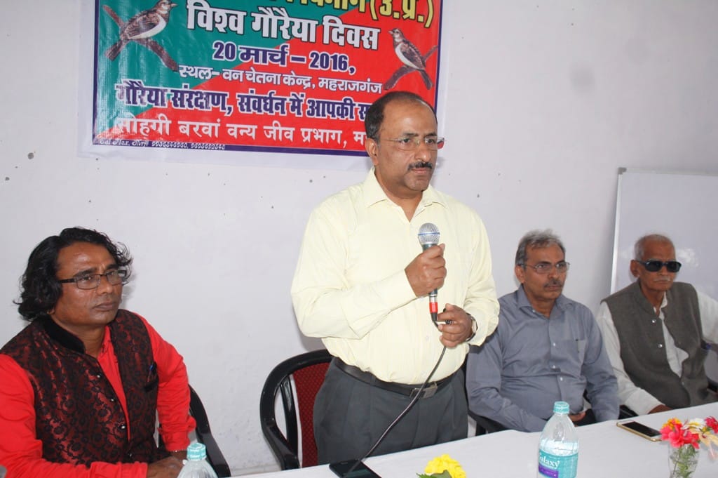  Forest workers Sparrow Day celebrated