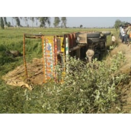 hindi story, crime News, cow taskari, kaithal