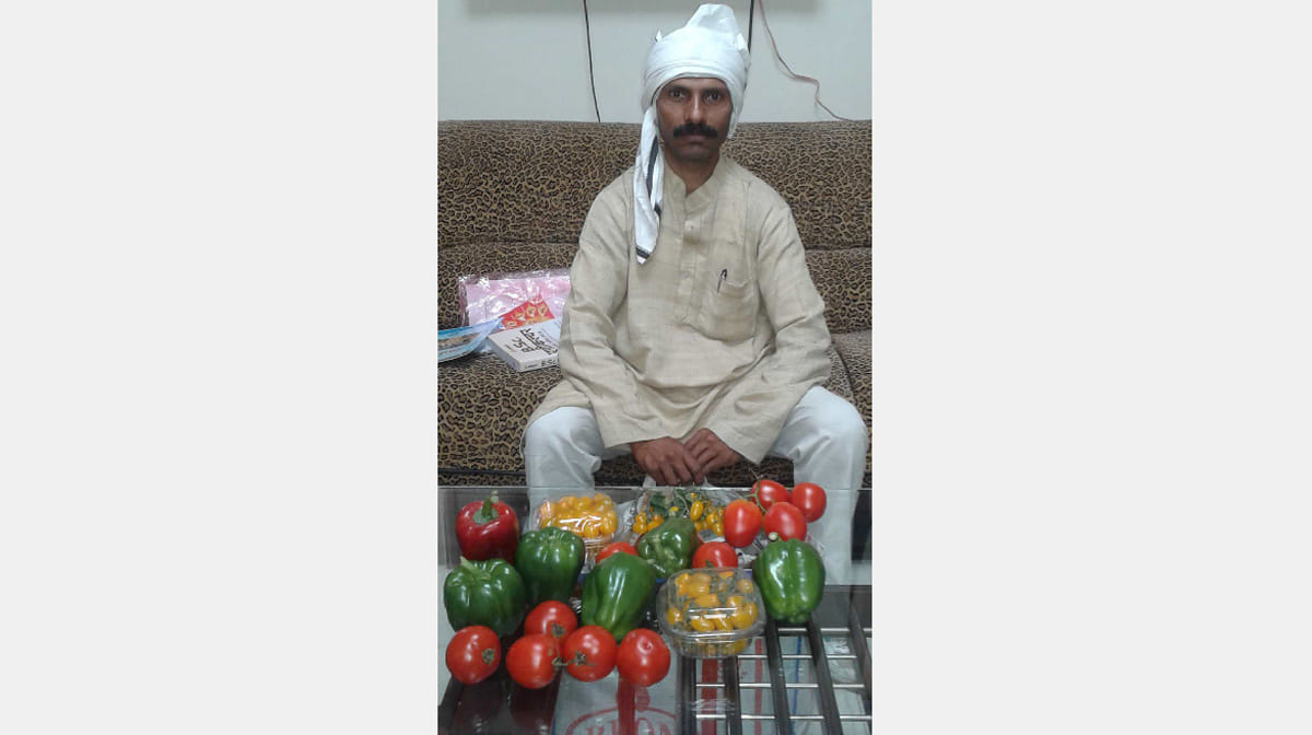 bhu made dilip a millionaire
