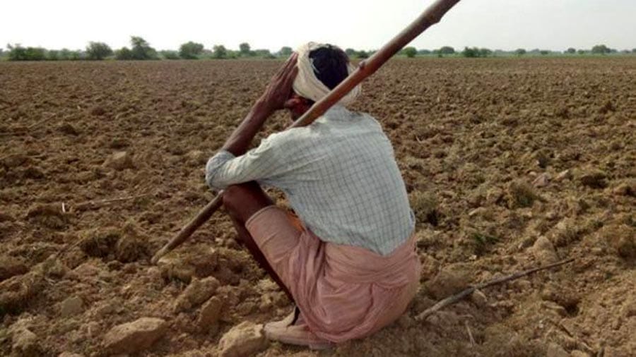 drought situation to remain in normal monsoon season as alnino is there in second half says imd