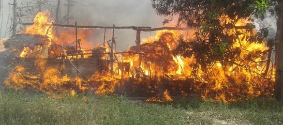 Four home and burned sugarcane