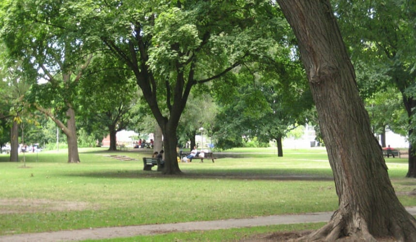 Insufficient population fell park