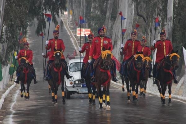 The retired horses will be auctioned