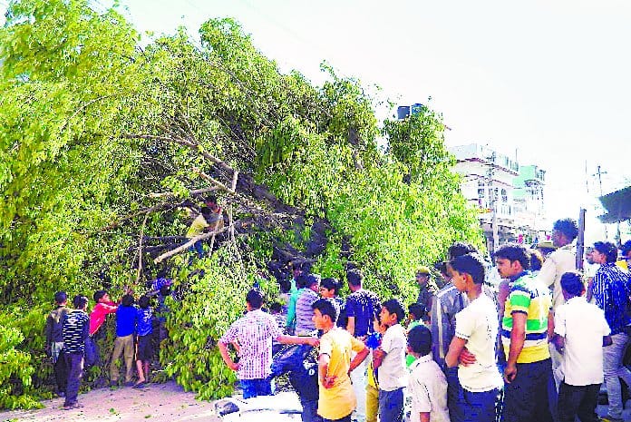 The storm blown up by the city's power