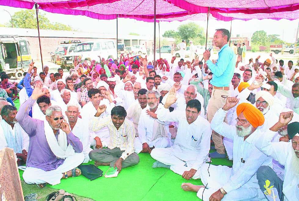 Holi, Holi in Sirsa, Festival, Sirsa News, Hindi News, Farmer, Sirsa
