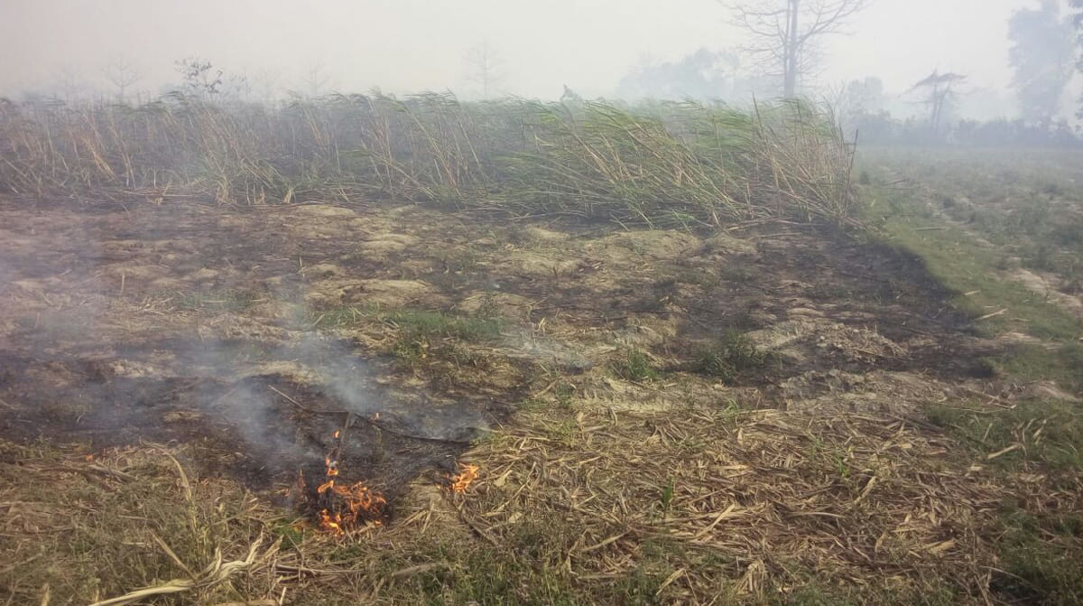 three ladies burned alive